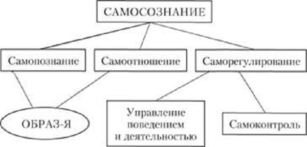 Structura conștiinței de sine