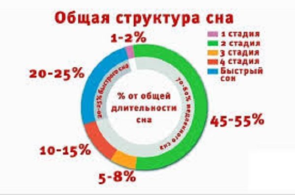 Structura somnului